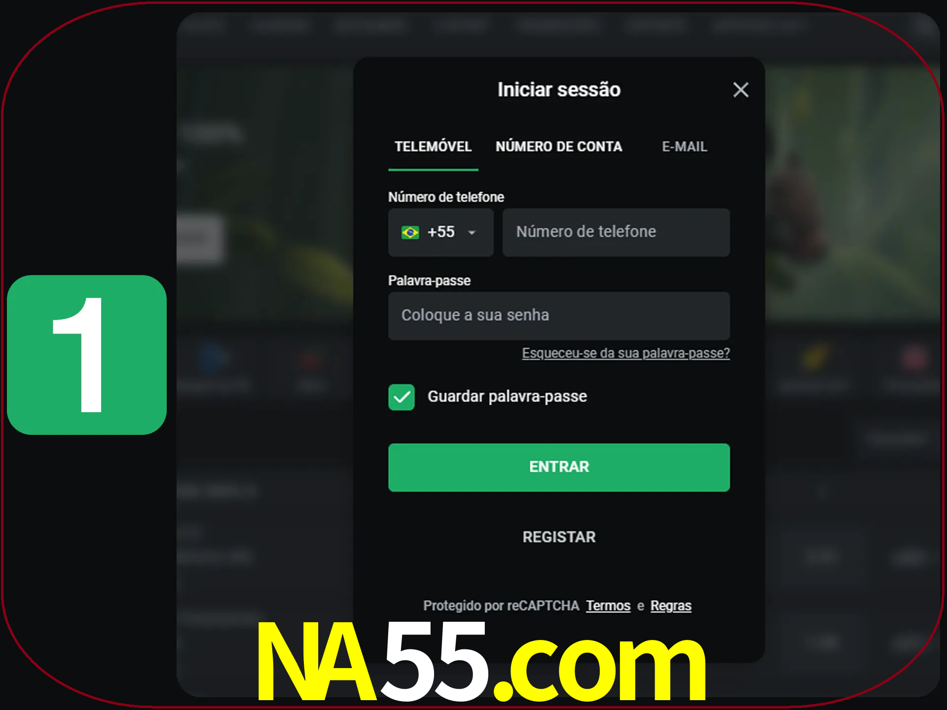 Clique no botão Entrar.